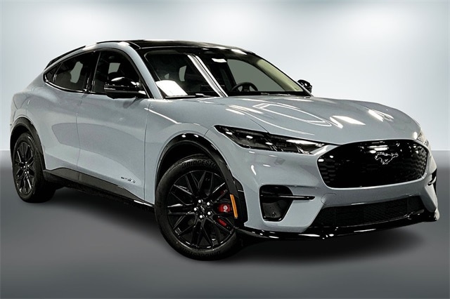 2025 Ford Mustang Mach-E Premium AWD's photo