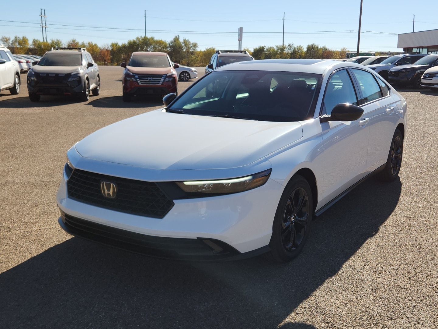 2025 Honda Accord SE's photo