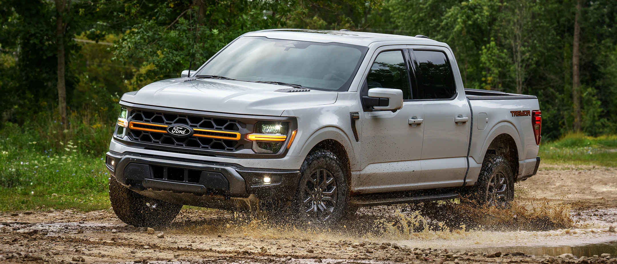 f-150 view