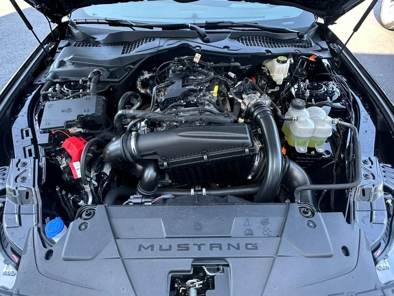 2025 Ford Mustang EcoBoost Premium Fastback - Photo 13