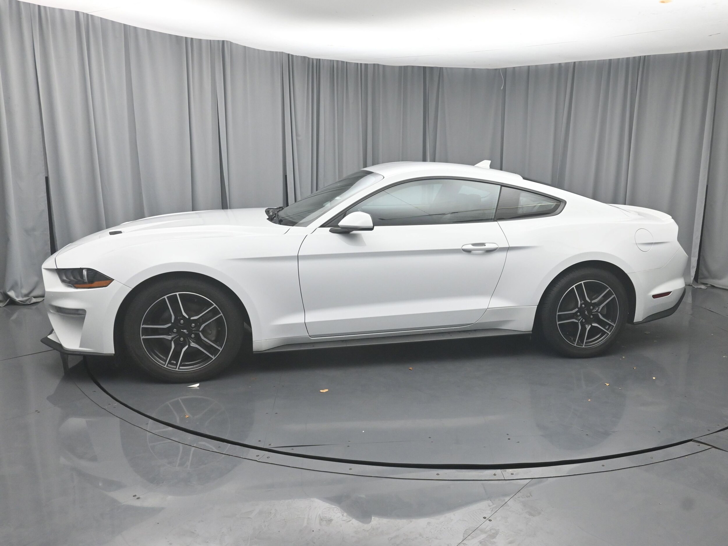 2023 Ford Mustang EcoBoost Premium photo 2