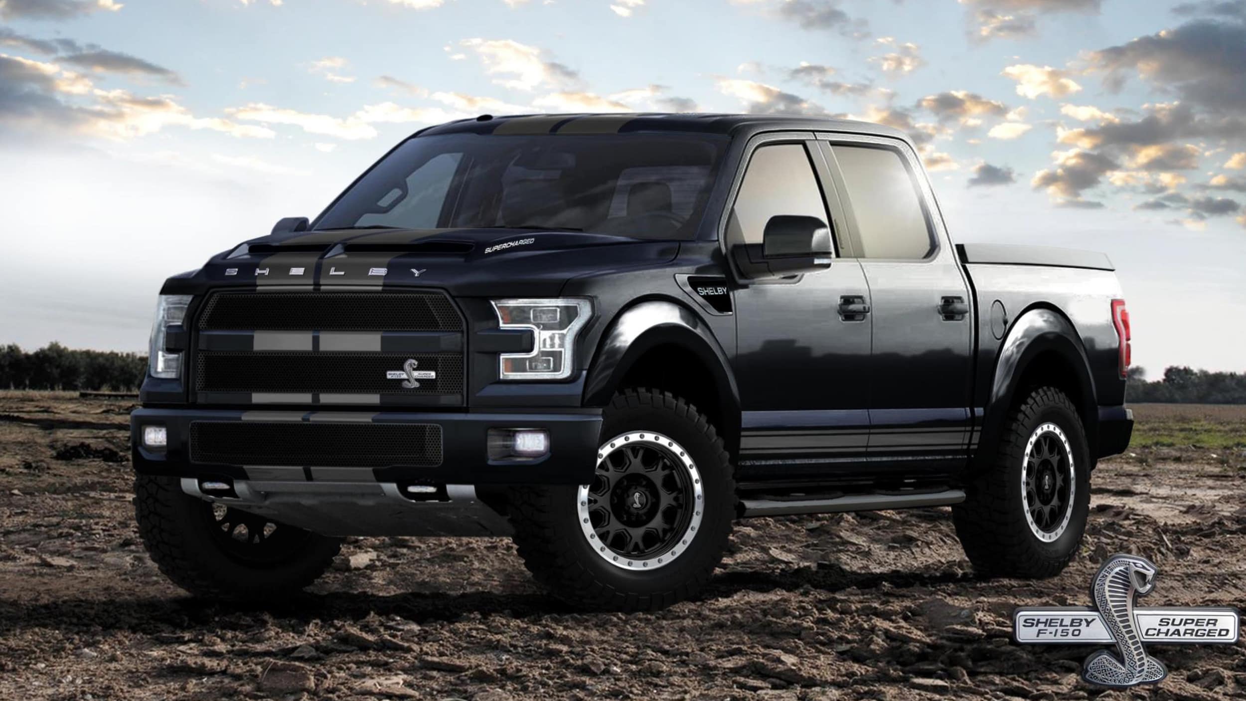 Related Keywords & Suggestions for 2012 f 150 shelby