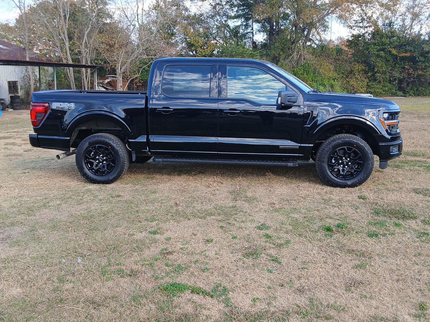 2025 Ford F-150 XLT photo 4