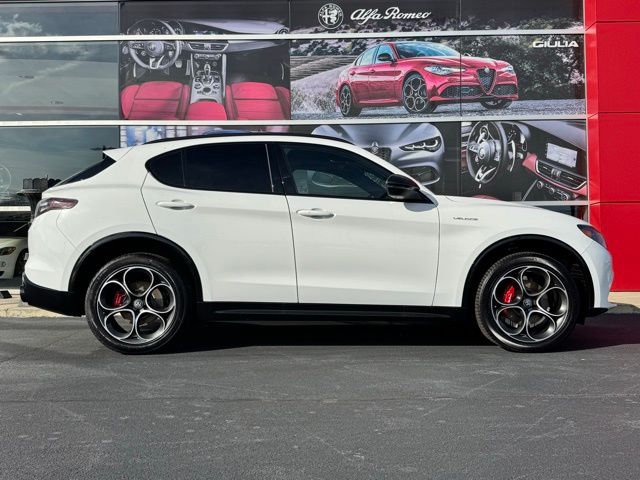 2025 Alfa Romeo Stelvio Stelvio AWD's photo