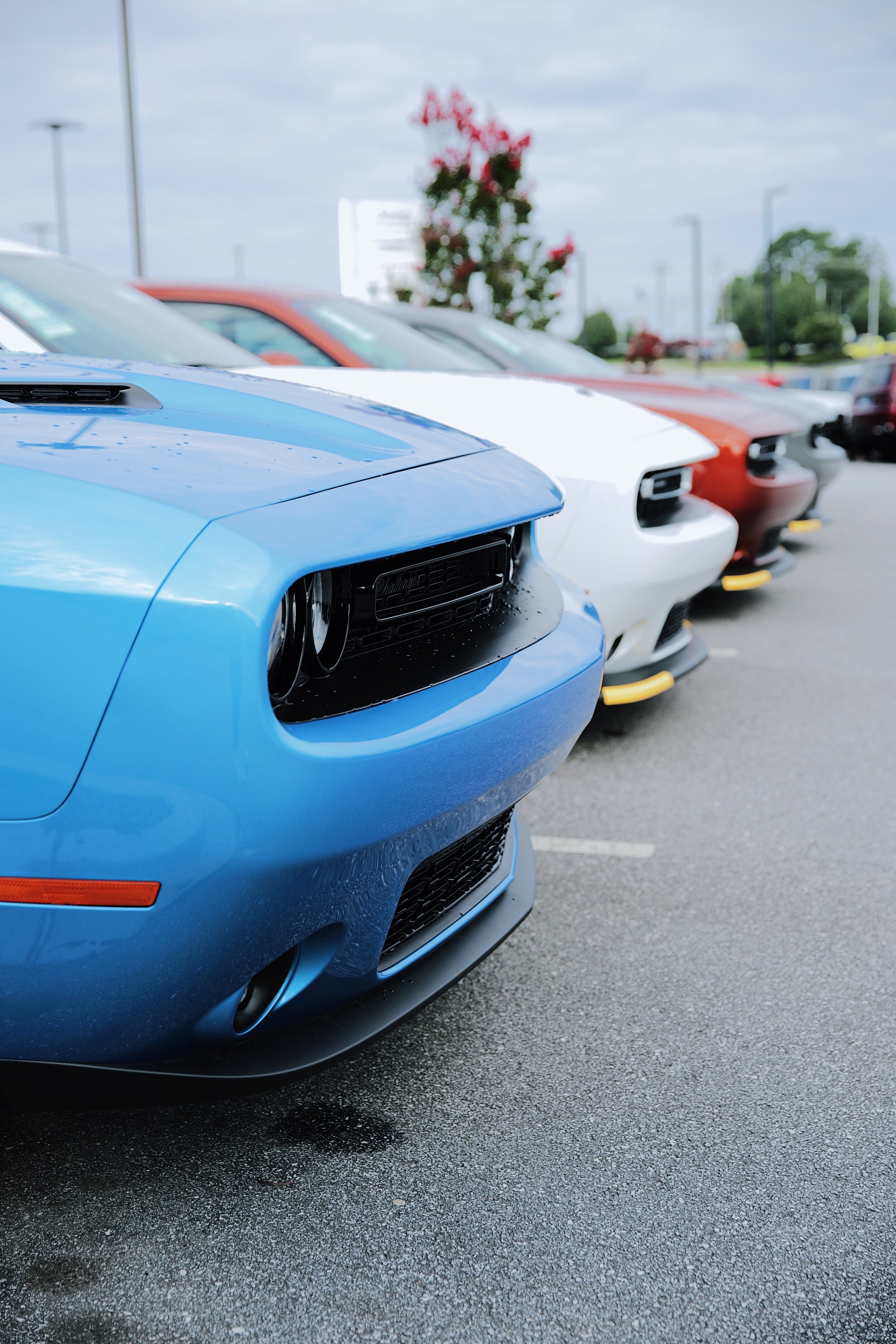  Line of 2024 Dodge Chargers