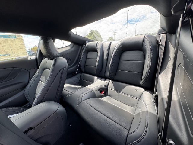 2025 Ford Mustang GT Premium Fastback - Photo 15