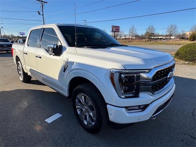 2023 Ford F-150 Platinum's photo