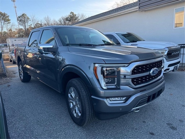 2021 Ford F-150 Platinum's photo