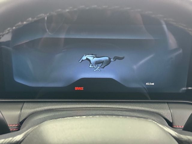2025 Ford Mustang GT Premium Fastback - Photo 16