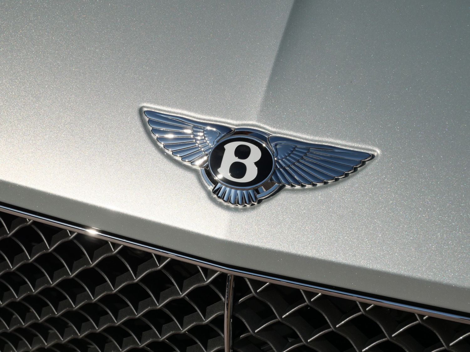 2023 Bentley Continental GT Speed photo 6