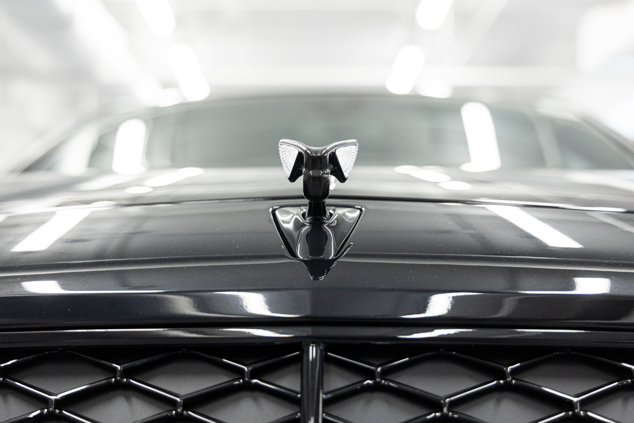 2025 Bentley Flying Spur - Photo 9