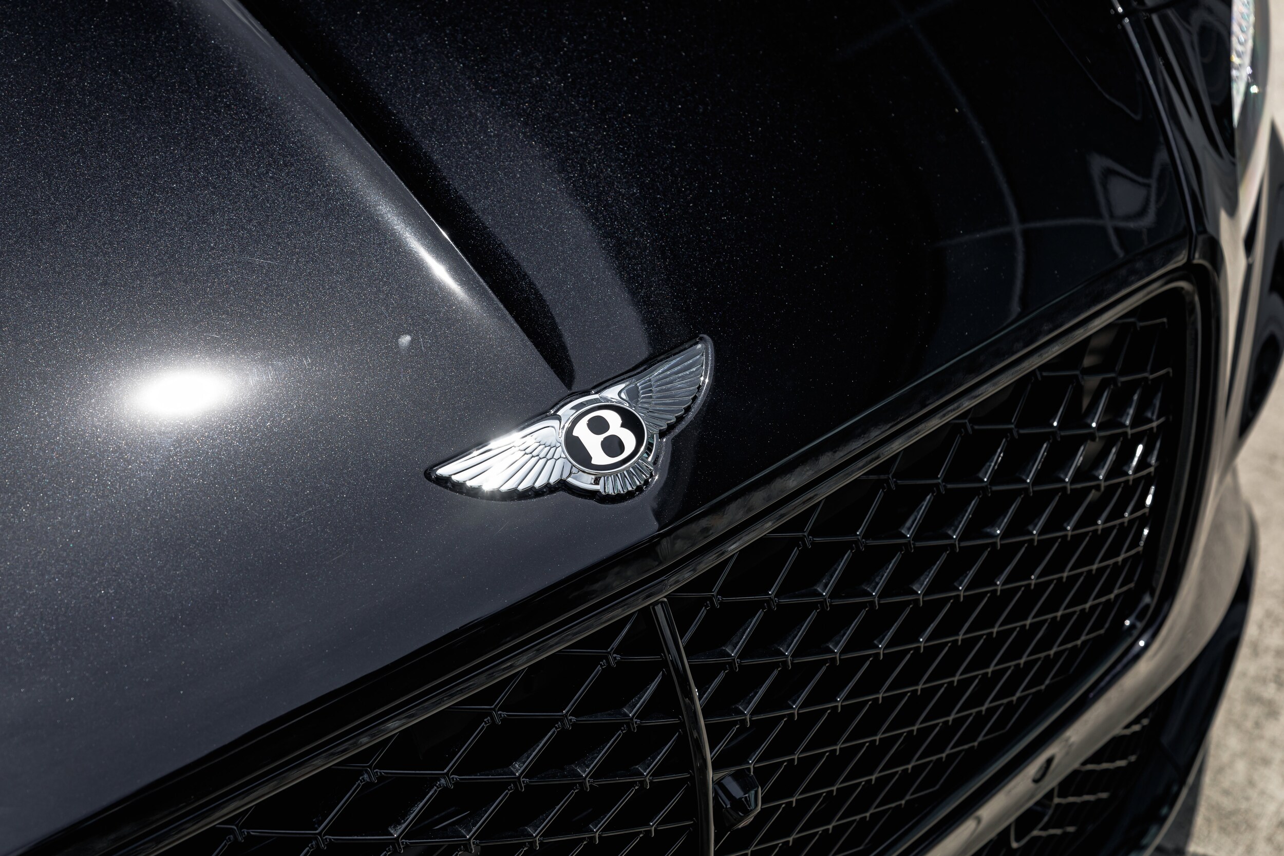 2025 Bentley Continental GT Speed photo 3