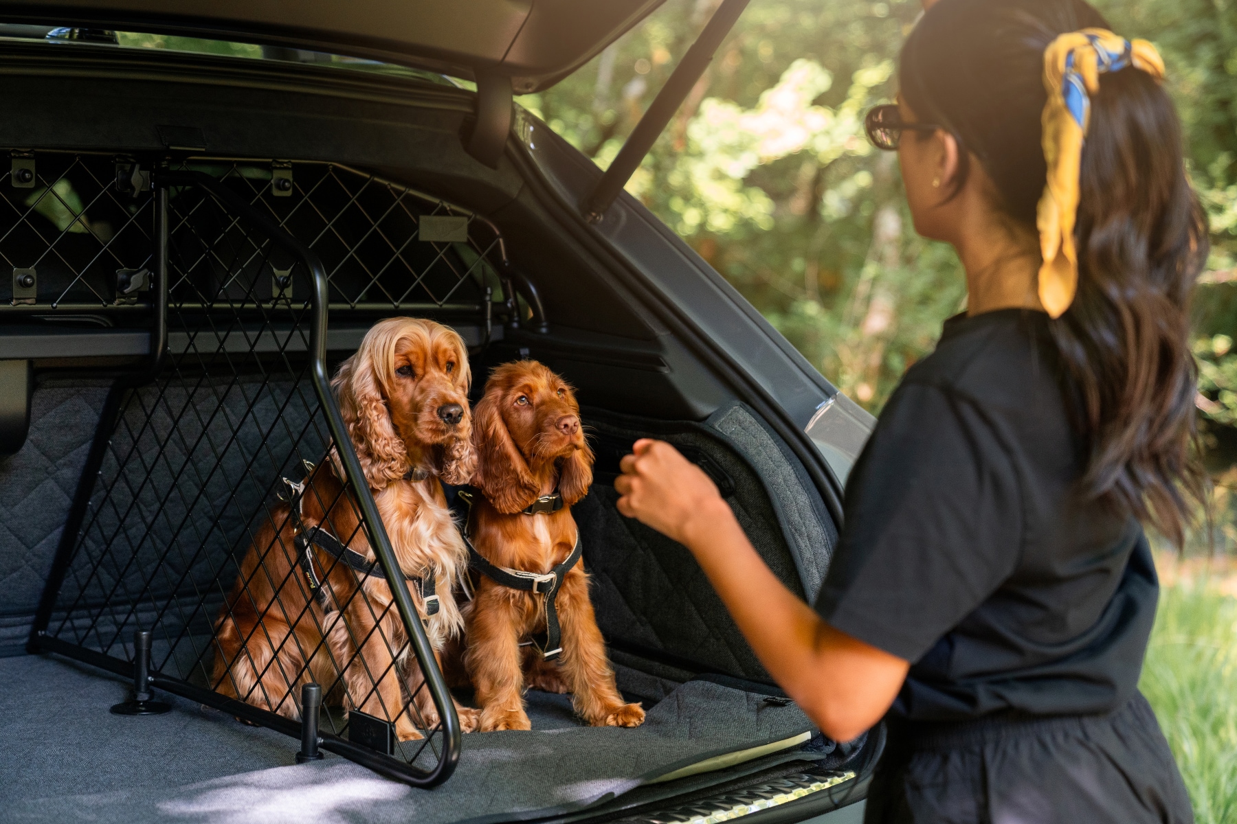 Bentley rear cargo hold with two dogs and an owner