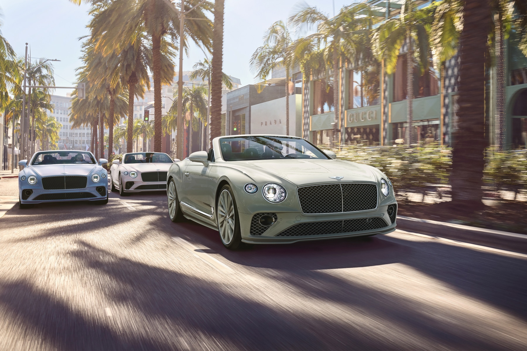 2025-bentley-Continental%20GT-palm-trees.png