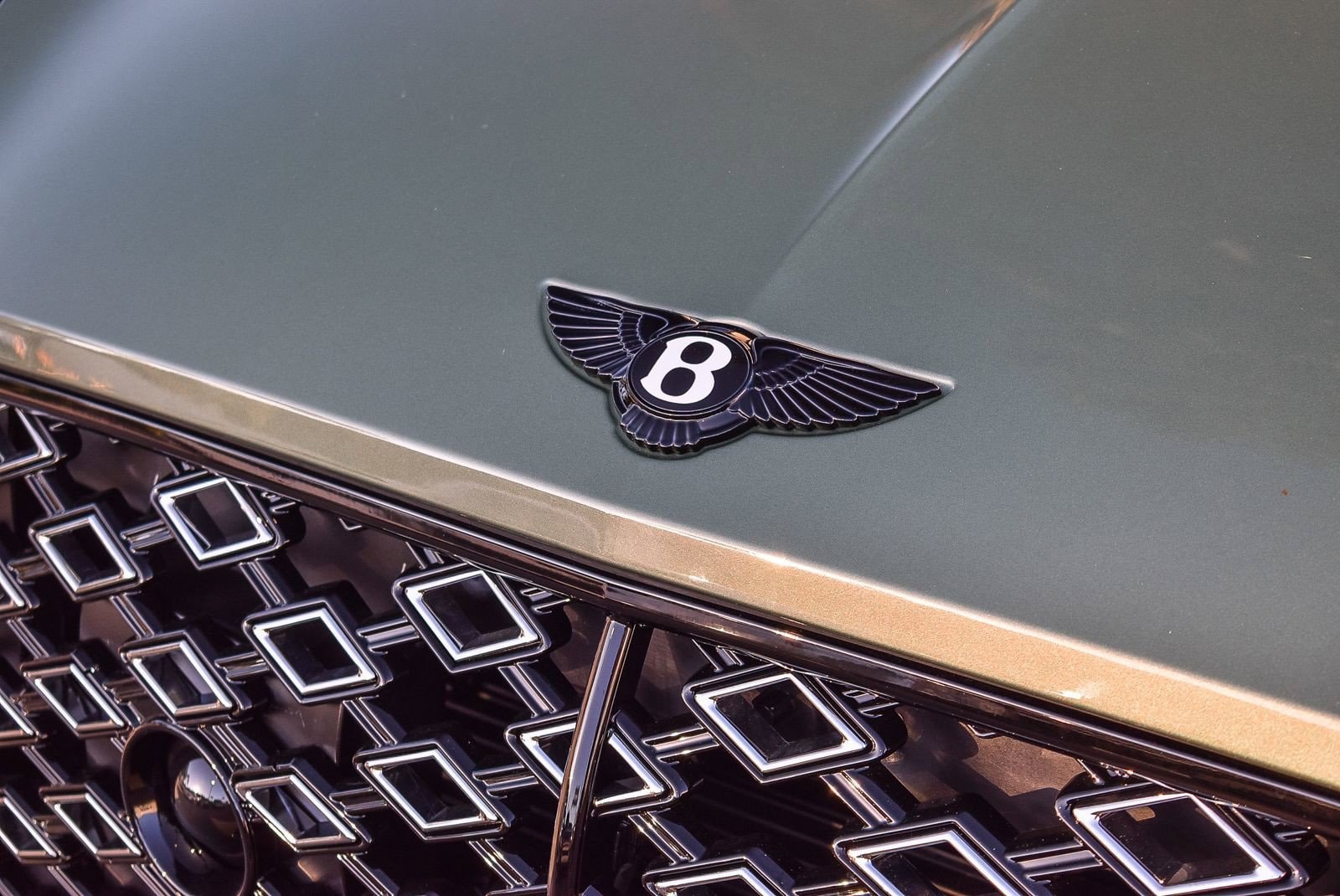 2026 Bentley Continental GT Speed - Photo 13