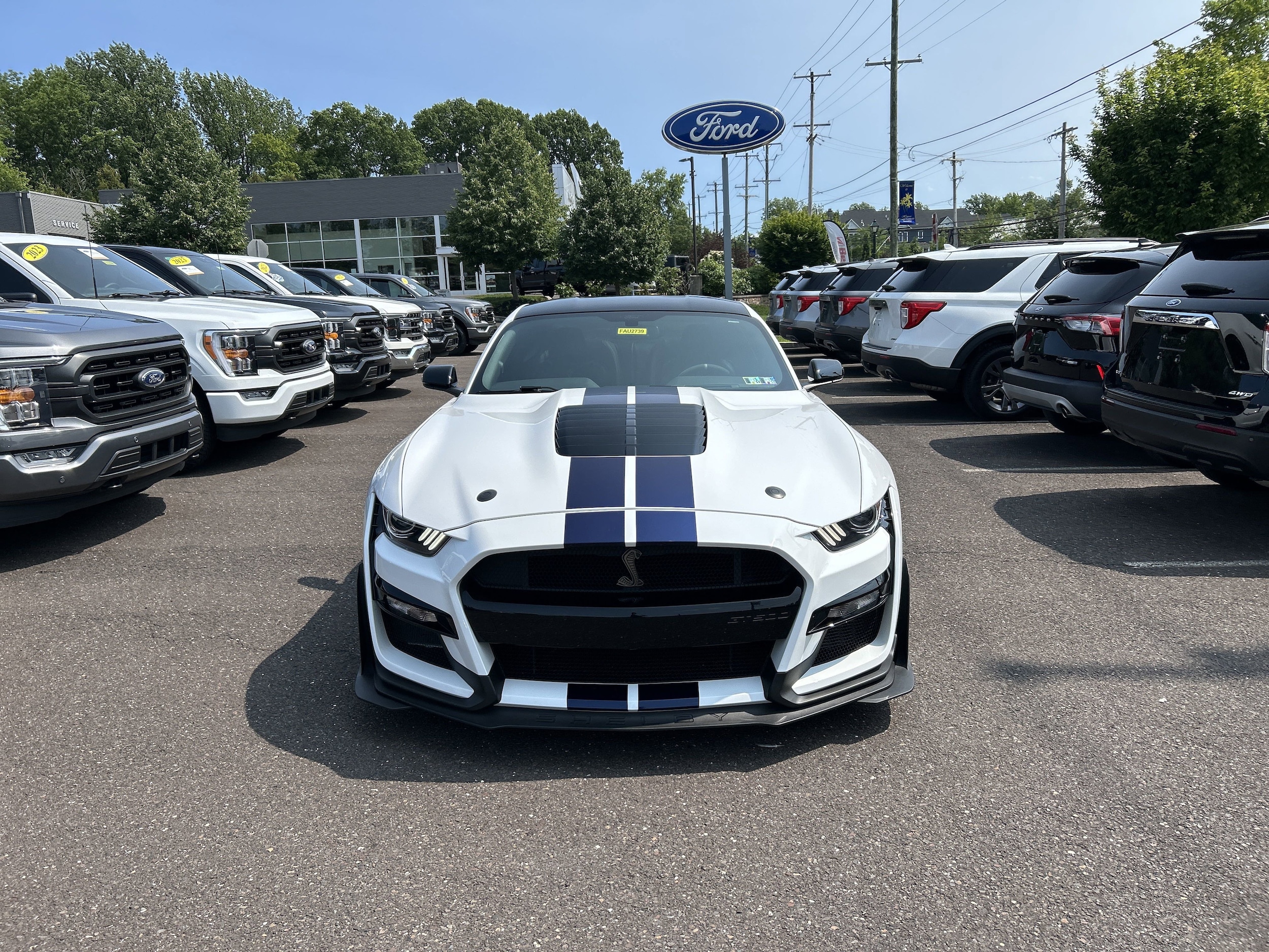 Certified 2020 Ford Mustang Shelby GT500 with VIN 1FA6P8SJ2L5501043 for sale in Ambler, PA