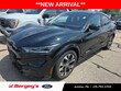 Ford Mustang Mach-E
