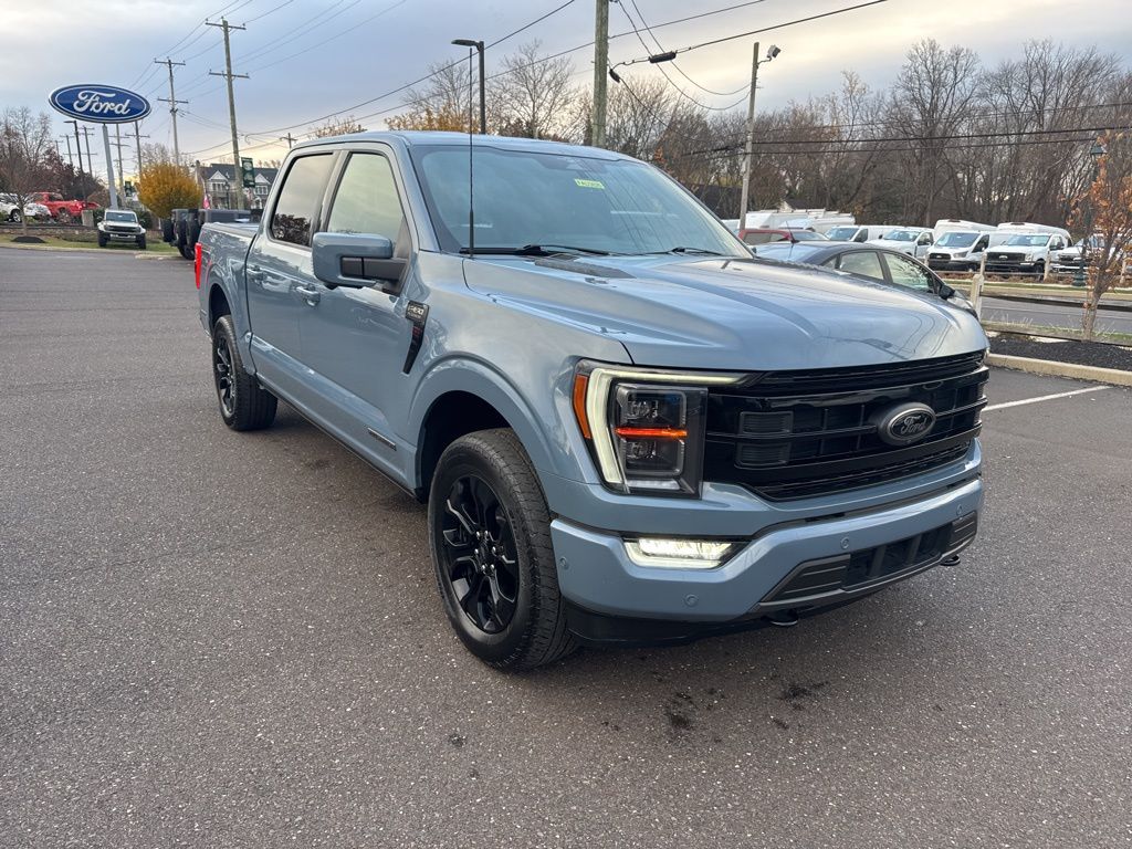 2023 Ford F-150 Platinum photo 3