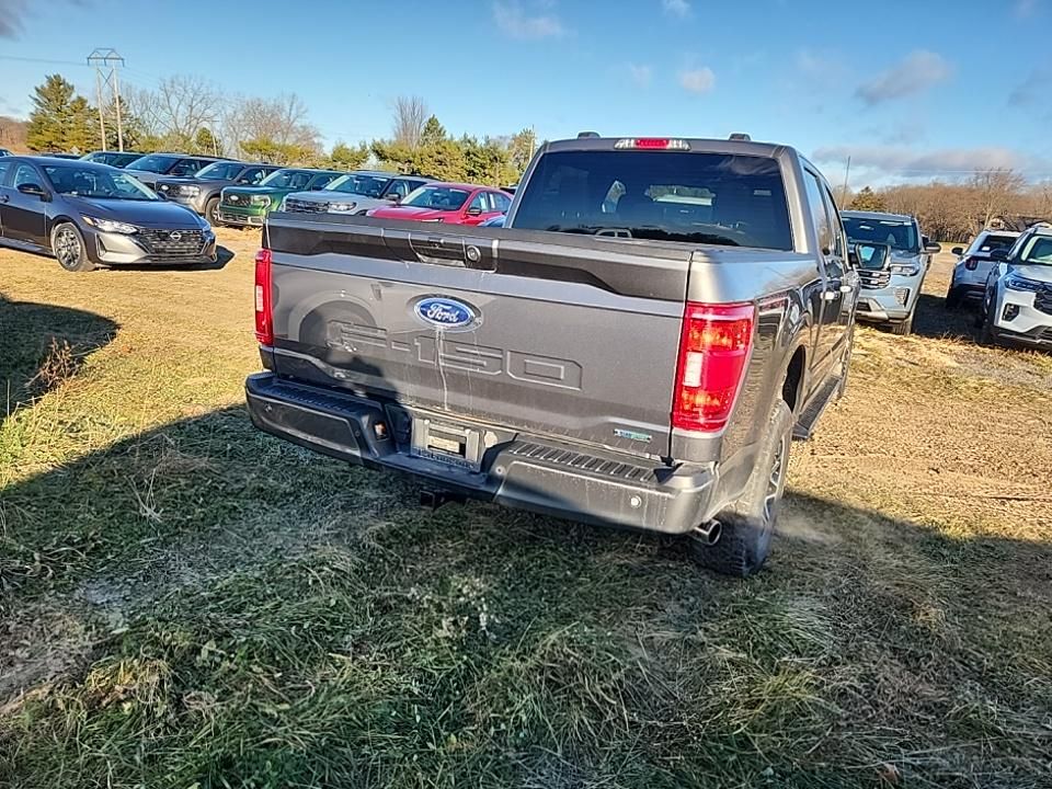 2023 Ford F-150 XLT photo 4