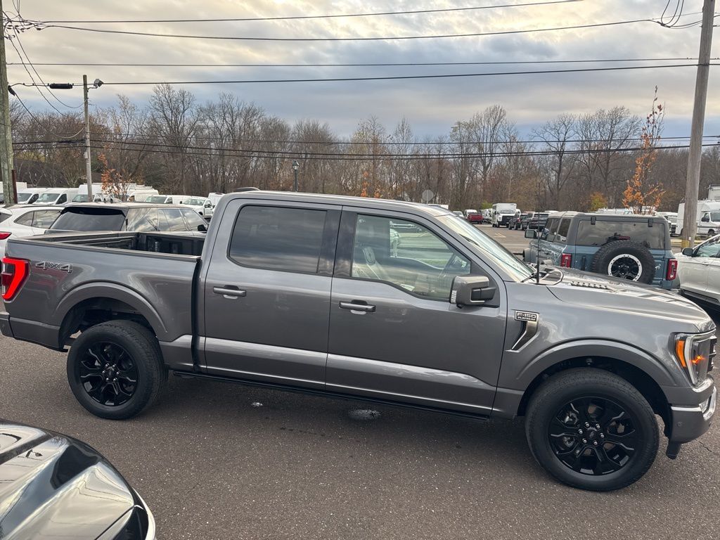 2022 Ford F-150 Platinum photo 4