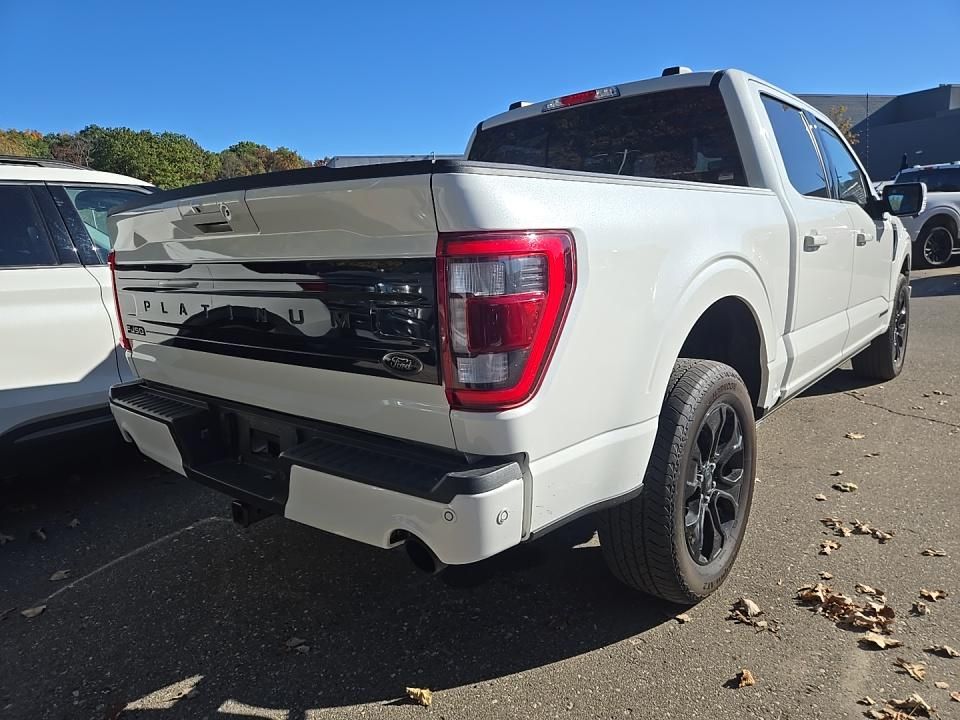 2023 Ford F-150 Platinum photo 3