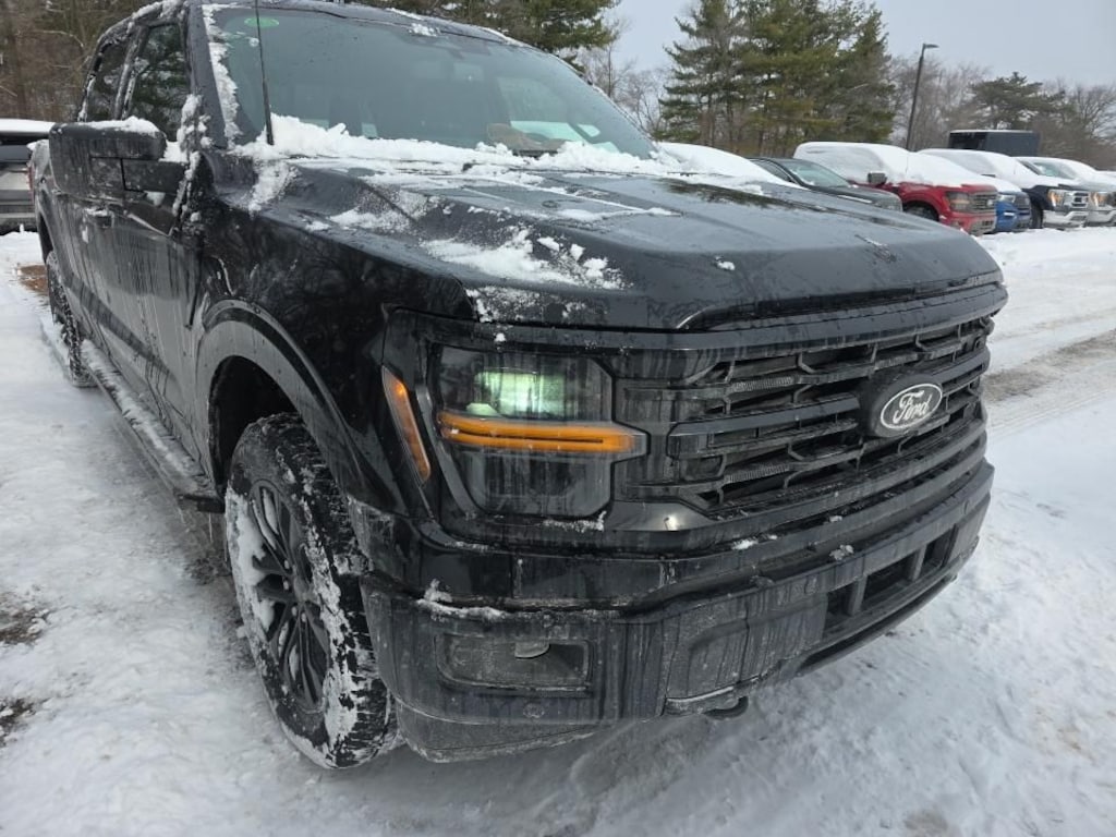 Used 2024 Ford F-150 XLT Black Package with 3.5L Truck