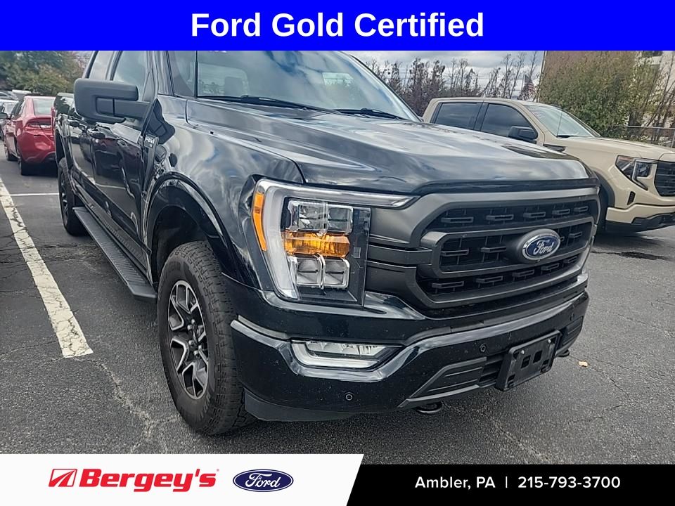 2023 Ford F-150 XLT's photo