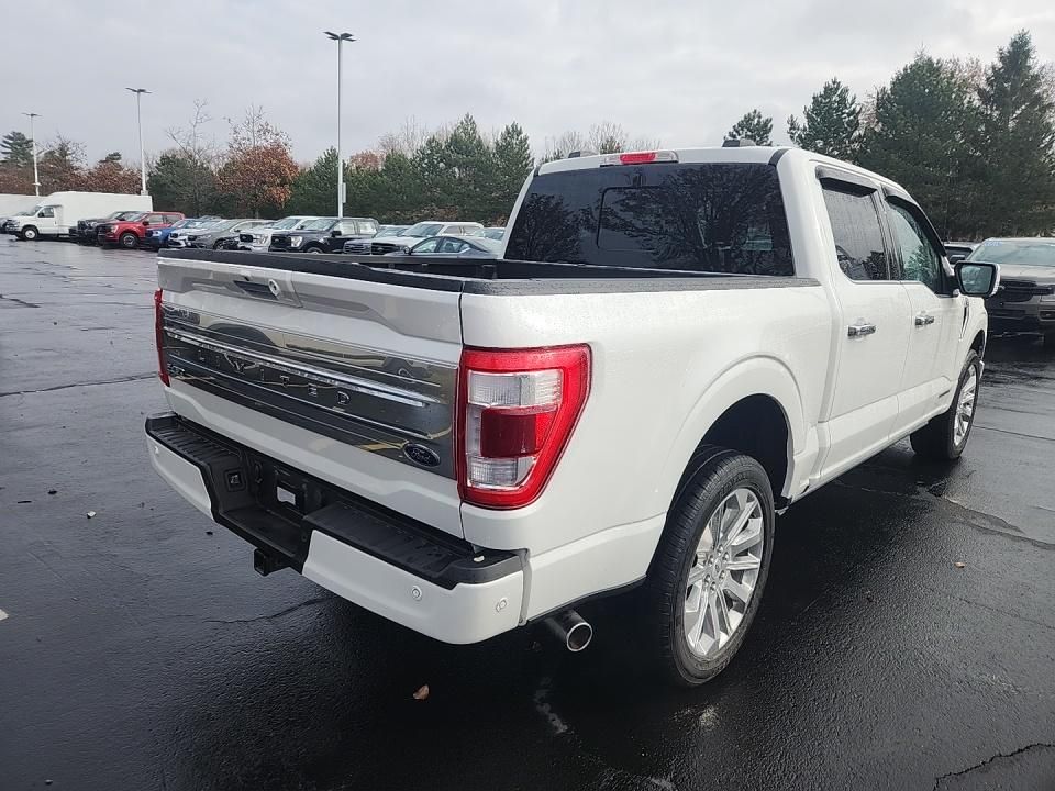 2023 Ford F-150 Limited photo 4
