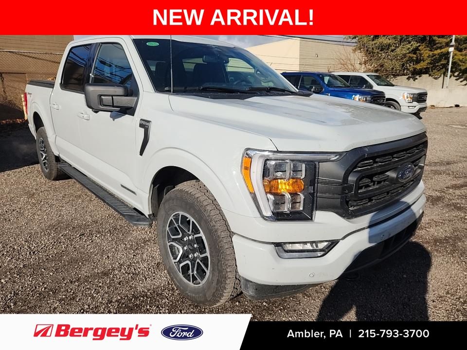 2023 Ford F-150 XLT's photo