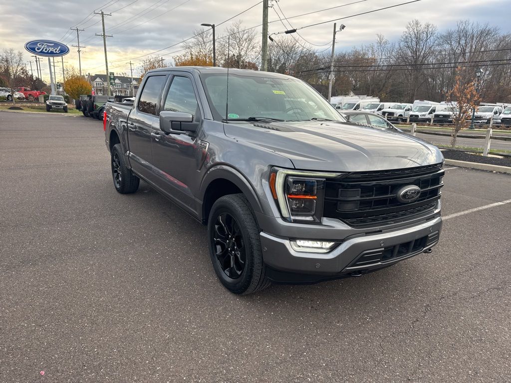 2022 Ford F-150 Platinum photo 3