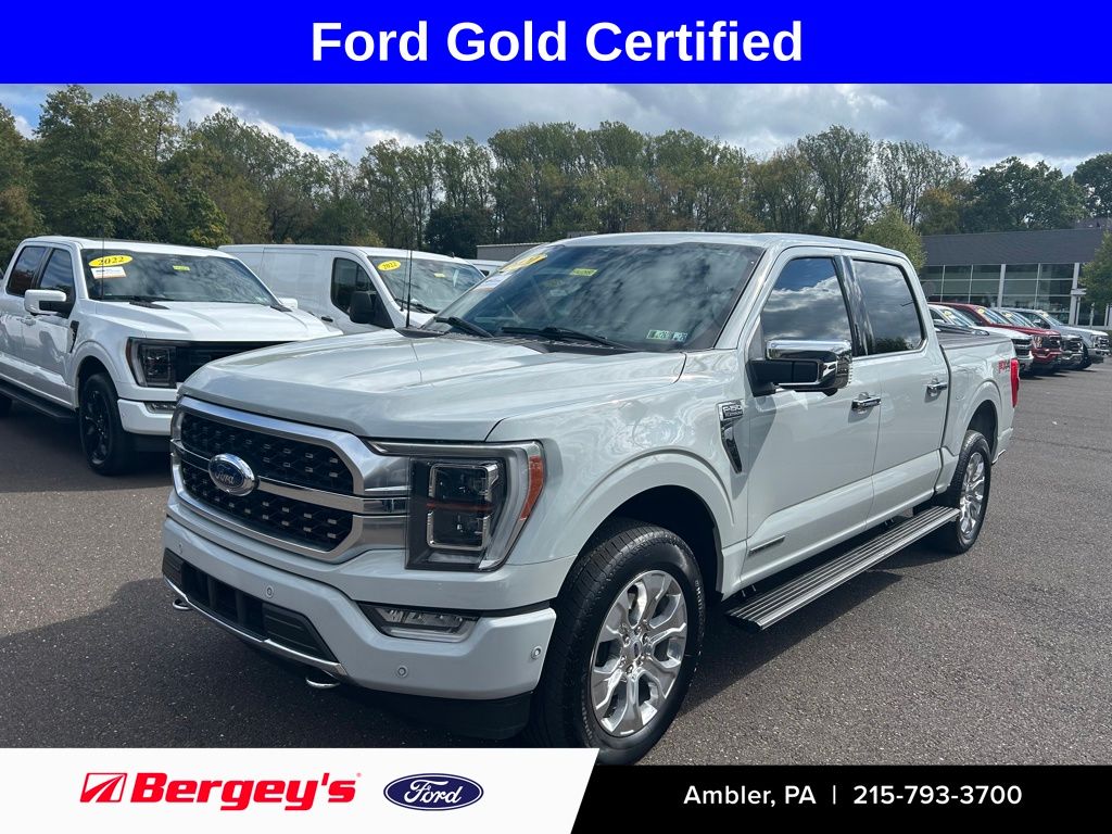 2023 Ford F-150 Platinum's photo