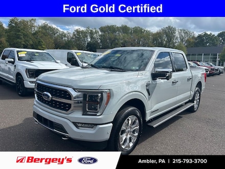 2023 Ford F-150 Platinum Truck