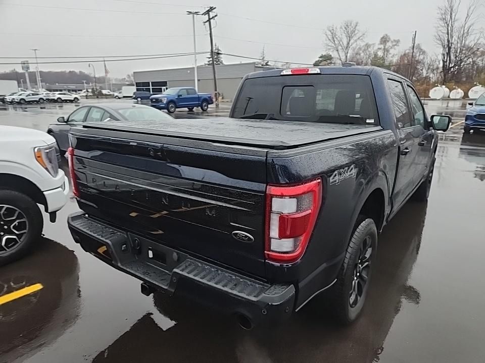 2023 Ford F-150 Platinum photo 4