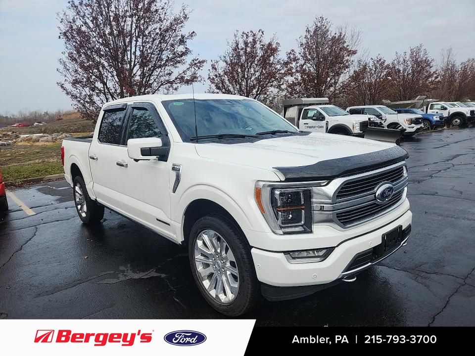 2023 Ford F-150 Limited's photo