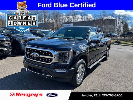2023 Ford F-150 Platinum FX4 Hybrid with a Moonroof Truck