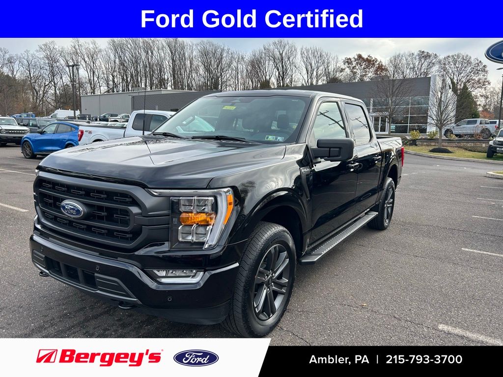 2023 Ford F-150 XLT's photo