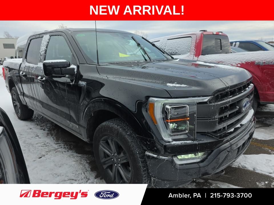 2023 Ford F-150 Lariat's photo