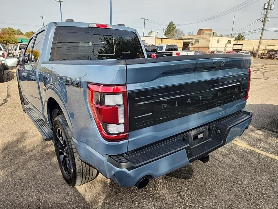 2023 Ford F-150 Platinum photo 3