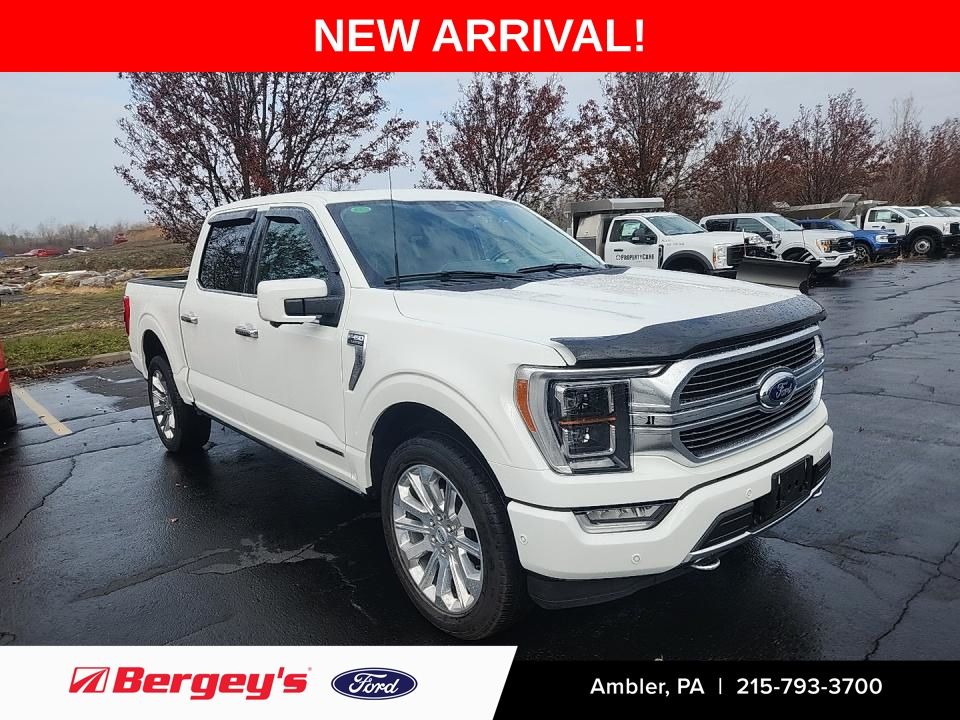 2023 Ford F-150 Limited's photo