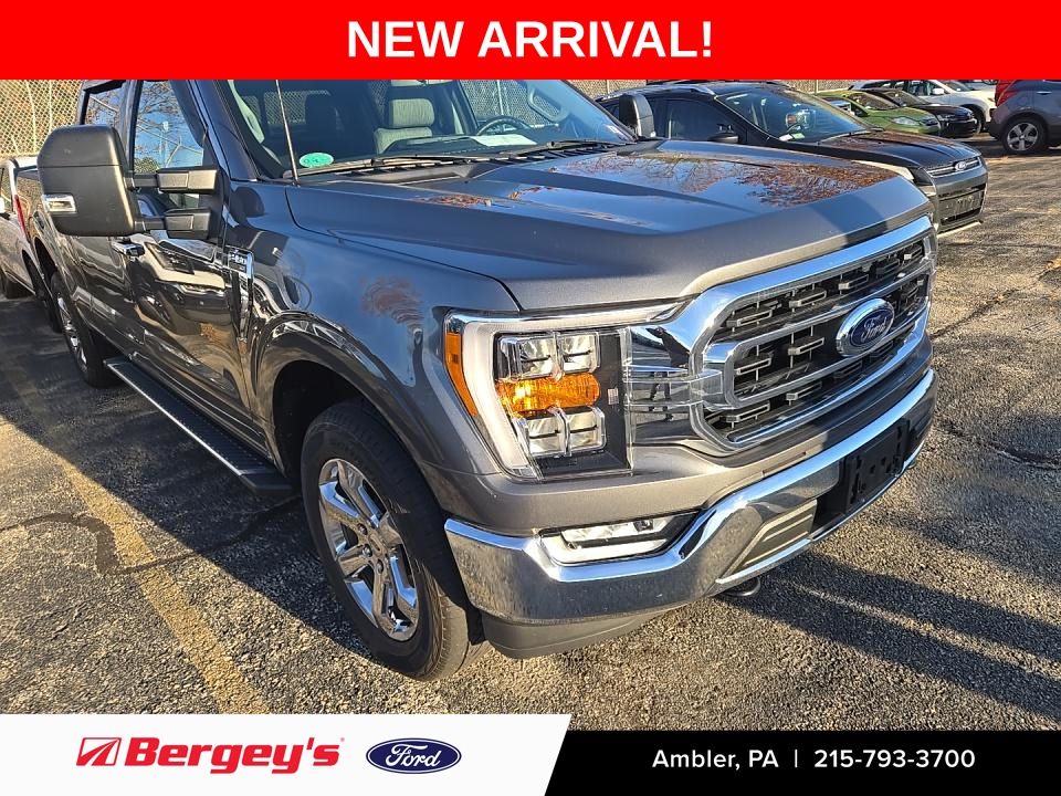 2023 Ford F-150 XLT's photo