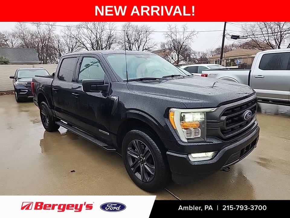 2023 Ford F-150 XLT's photo