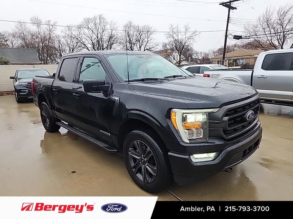 2023 Ford F-150 XLT's photo