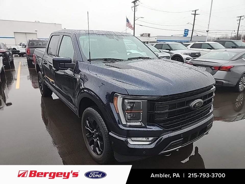2023 Ford F-150 Platinum's photo