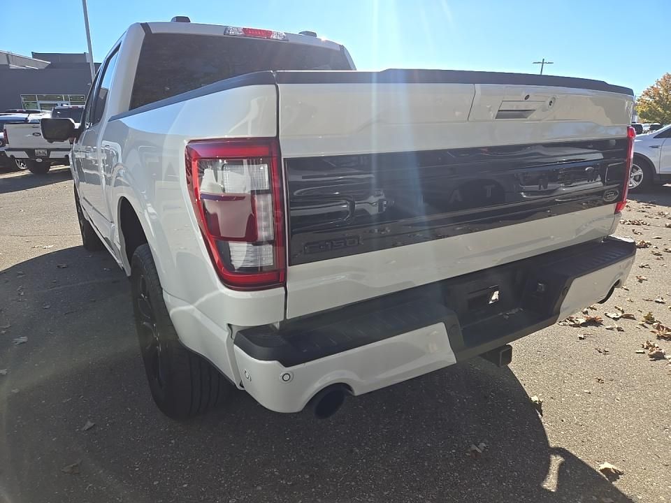 2023 Ford F-150 Platinum photo 2
