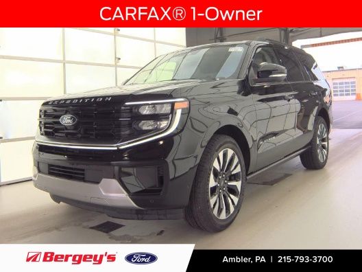 2025 Ford Expedition Platinum 4x4's photo