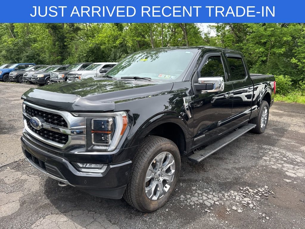 2021 Ford F-150 Platinum 4x4 SuperCrew 5-1/2 Box's photo
