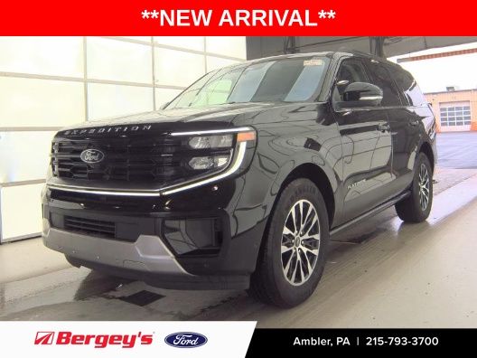 2025 Ford Expedition Platinum 4x4's photo