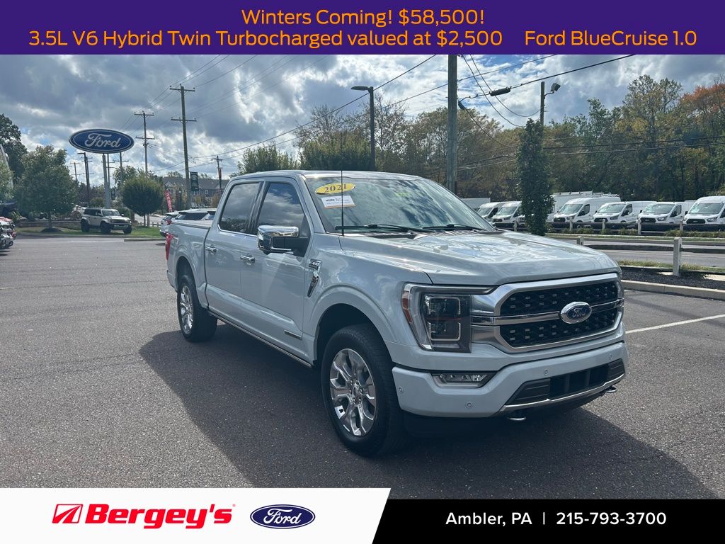 2023 Ford F-150 Platinum FX4 photo 3