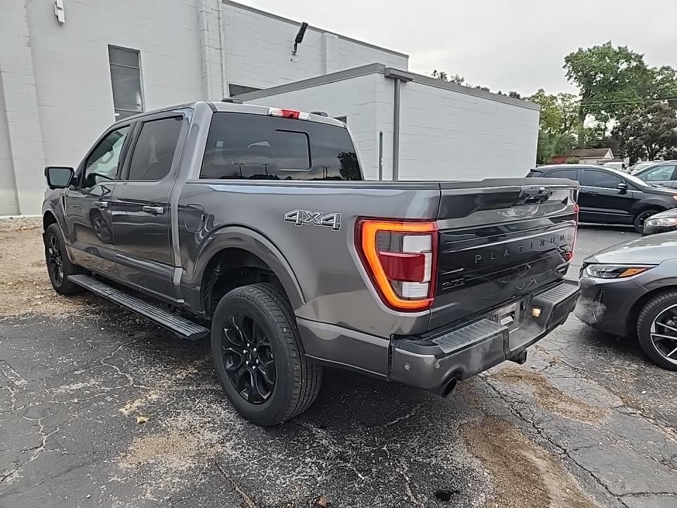 2022 Ford F-150 Platinum photo 3