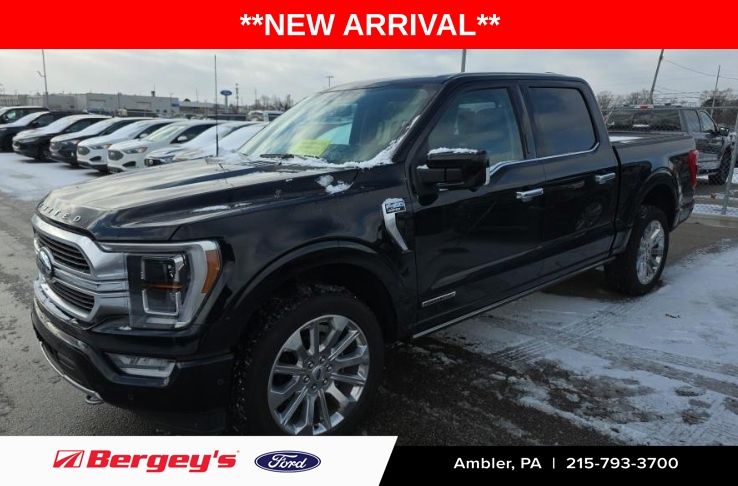 2023 Ford F-150 Limited's photo